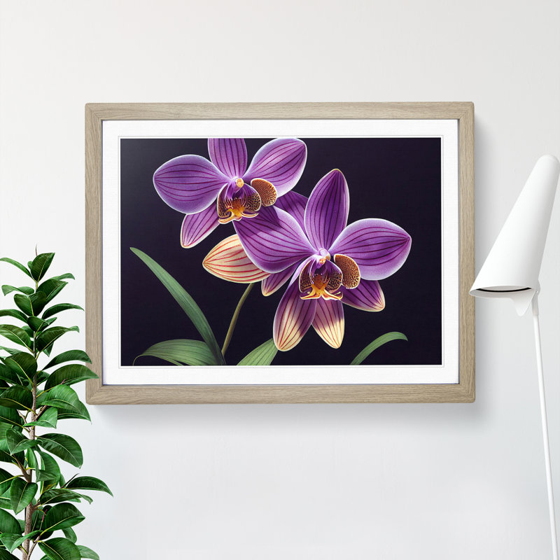 Unbeatable Orchid Flowers - Framed Print, 25cm H x 34cm W x 2cm D, Oak Framed