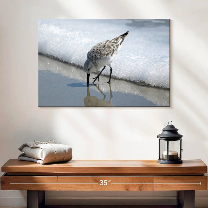 Brampt Sandpiper I