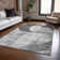 Machine Washable Indoor/Outdoor Cicel ACN1140 Gray Rug