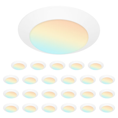 24 Pack 4 Inch LED Disk Lights,Dimmable Flush Mount Ceiling Lights, 5CCT, 90CRI, Low Profile Surface Mount Ceiling Lights for Bathroom,Bedroom