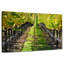 Yarlin Napa Valley Vineyard-111858767