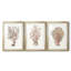 Terra Cotta Coral I - reproduction sur mesure encadrée de qualité supérieure - 3 pièces-268661159-268661153