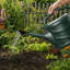 Watering Can-799399283-799399292