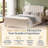 Modern Arched Tufted Upholstered Bed, Queen, Cream Velvet-253526931-253526930