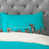 Teal selected
