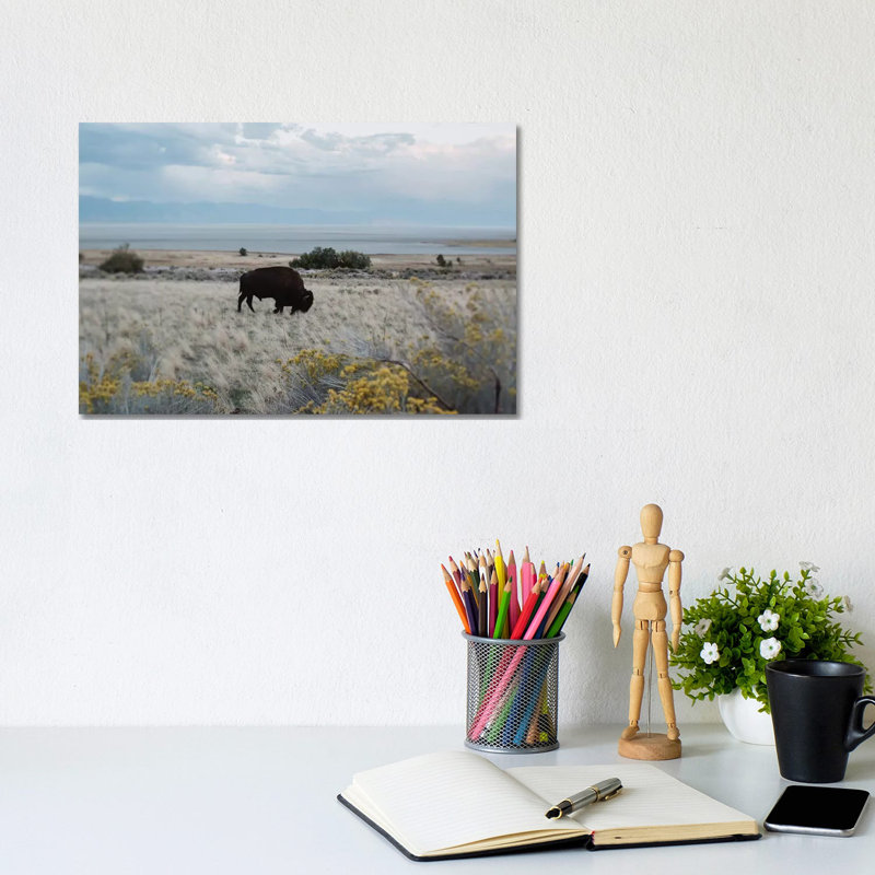 Bison In The Field by Chelsea Victoria - Wrapped Canvas Painting, 20.32 cm H x 30.48 cm W