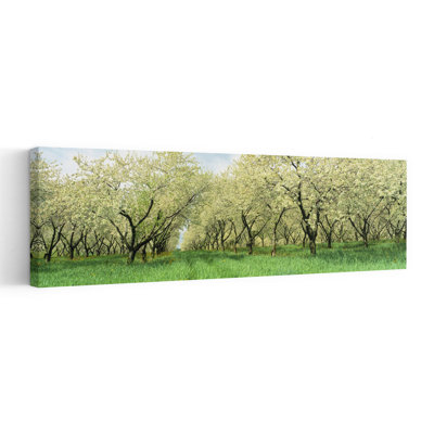 Rows Of Cherry Tress In An Orchard Minnesota USA by Ed McKinney - Wrapped Canvas Panoramic Print