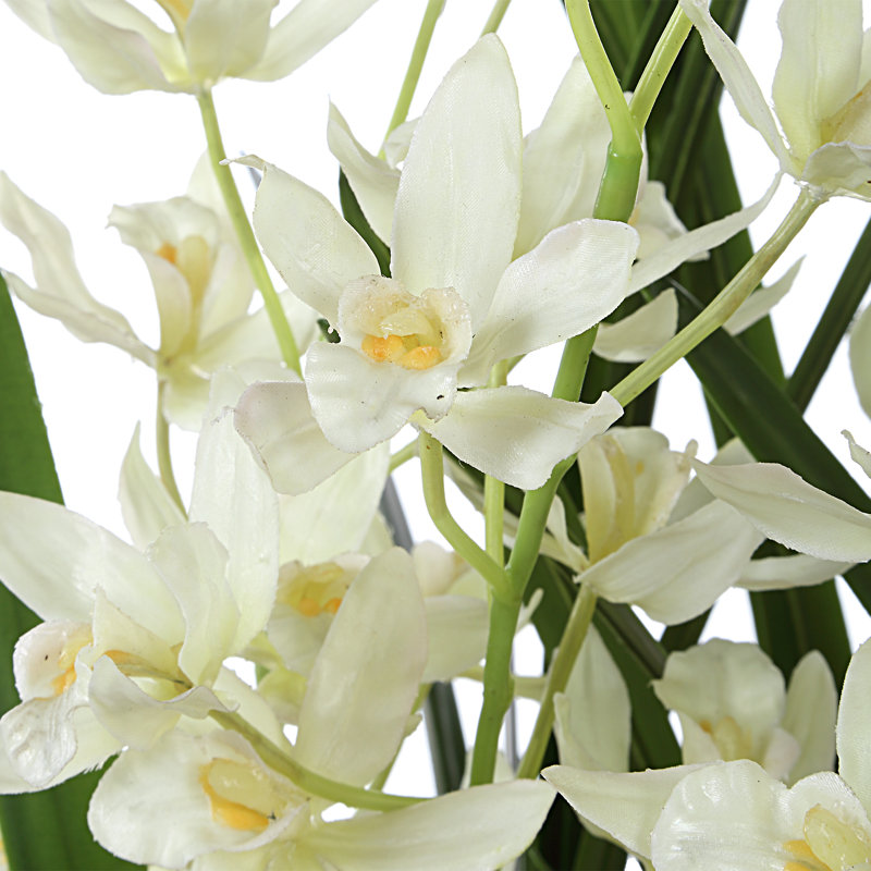 Jardinière Pétrolia
