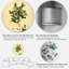Art mural rétro Vintage Plant Life XXV - Traditional-59002905