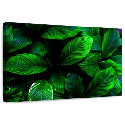Harnek plantes vertes