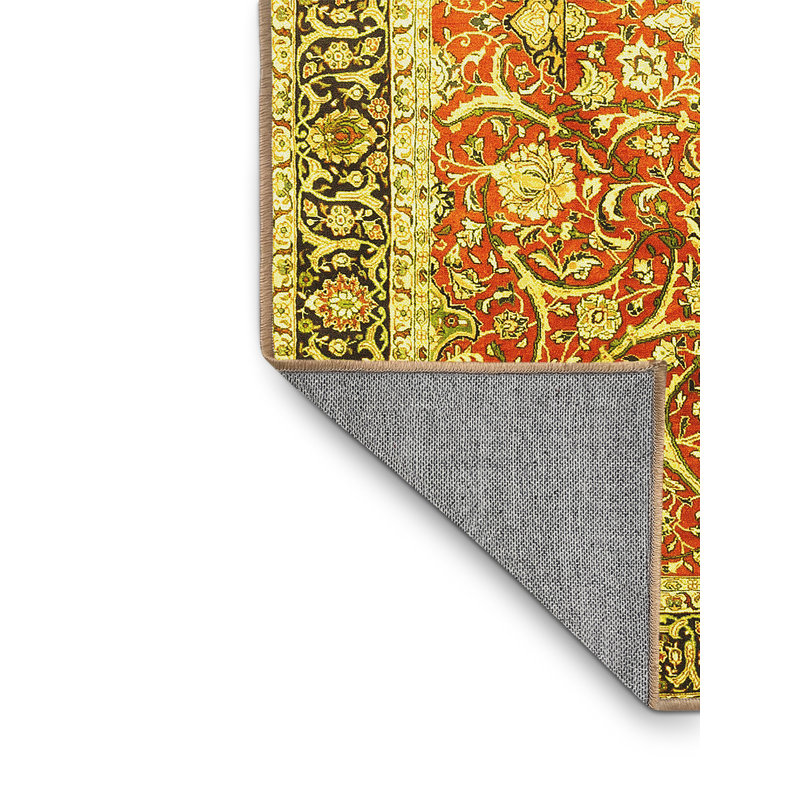 Anatasia Washable Oriental Indoor Rug, Runner 2' x 5'