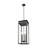 Jens 5 Light Outdoor Chain Mount Ceiling Fixture