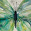 «Butterfly S croquis I & II» par Carol Robinson, ensemble de 2 reproductions sur toile-33392106