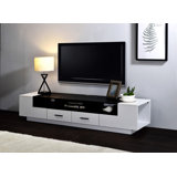Oluwasegun 2-Drawer Rectangular TV Stand in White/Black