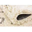 Tapis Jonnye Southwestern-2046825198-2106466386