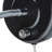 Penstemon Plug-in Wallchiere-1564316551
