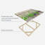 Impression sur toile d'herbes culinaires-1041588430