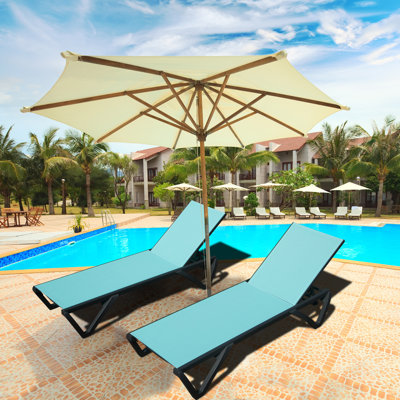 2 Piece Outdoor Chaise Lounge Set