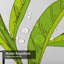 Rideau de douche vert avec 12 crochets Tea Leaves-1010562264