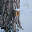 Boîte à nid d'oiseaux