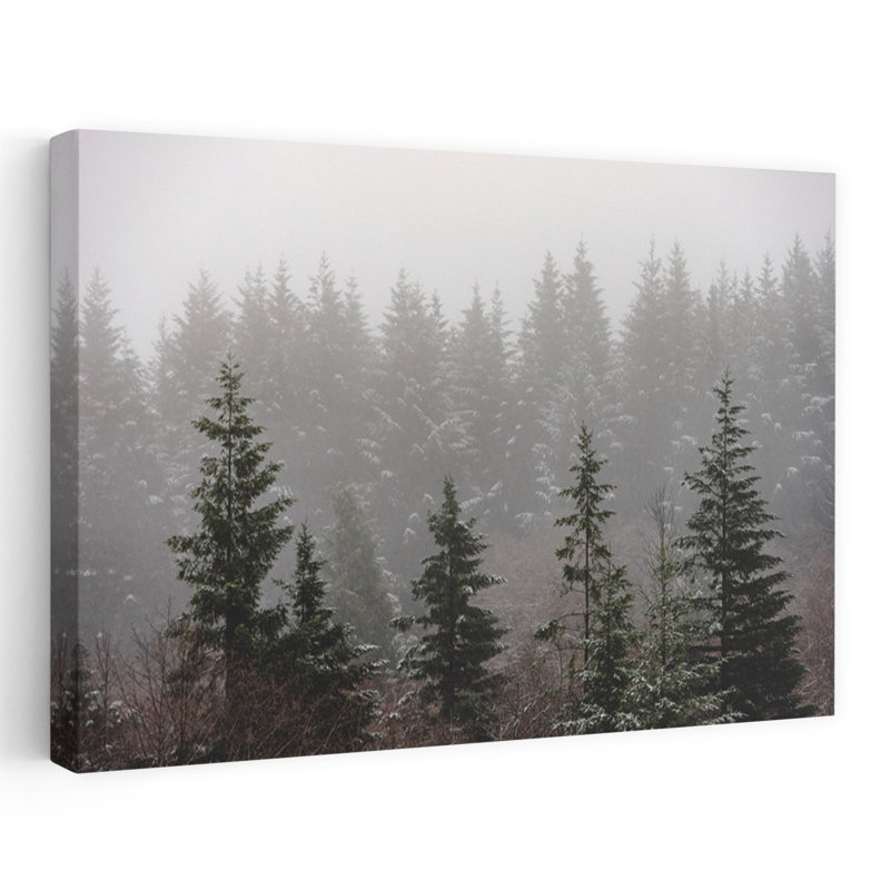 Forêt brumeuse, neige, paysage, arbre, forêt, photographie, brume, art contemporain, H 36 po x l 24 po