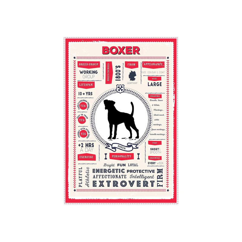 «Boxer Infographie Red» par PaperPaintPixels, impression sur toile tendue, H 12 po x l 8 po x P 0,75 po