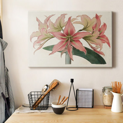 Amaryllis Varietals I - Toile tendue avec châssis de qualité supérieure - prête à être accrochée
