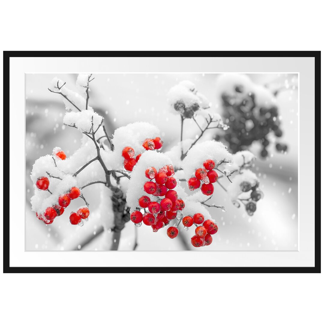 Gerahmtes Poster Rote Vogelbeeren im Winter