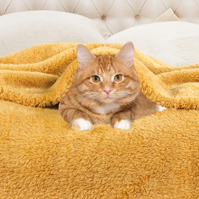 Gold Full/Queen Reversible Fleece Blanket