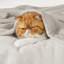 Couvertures douillettes et douillettes pour lit, canapé, canapé, voyage, camping-111074323-111074348