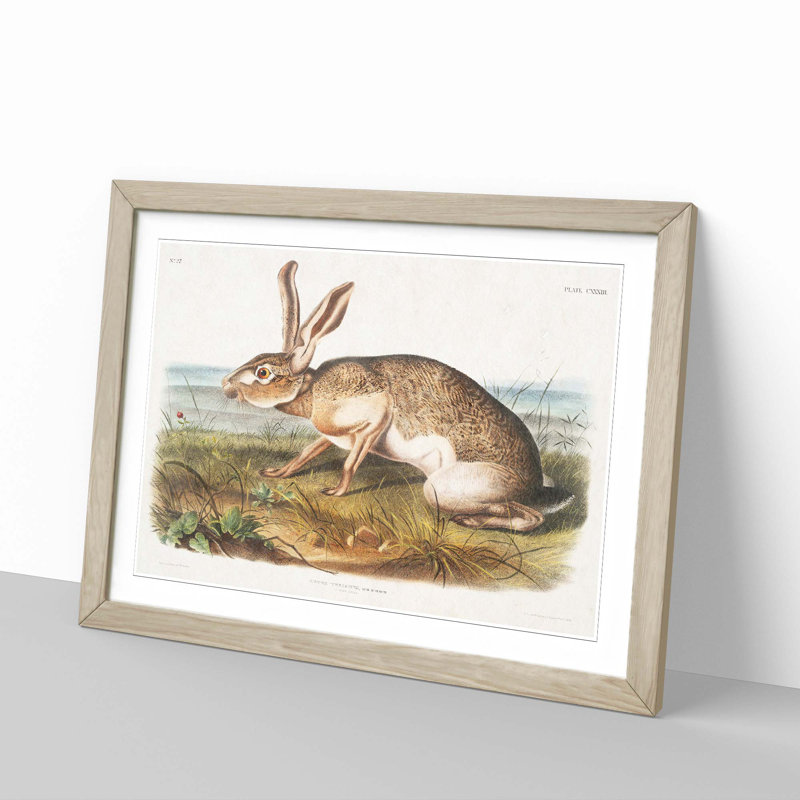 Texan Hare by J.W. Audubon - Picture Frame Art Print, Oak Framed, 48cm H x 65cm W x 2cm D