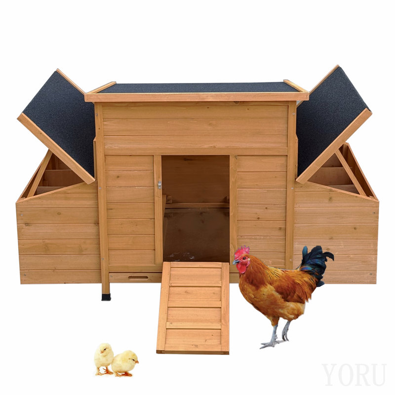Chicken Coop