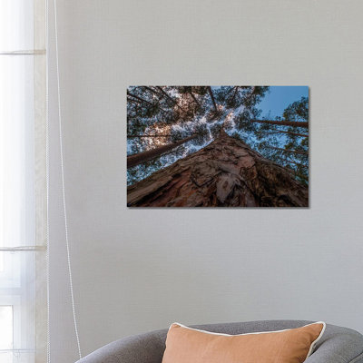 USA, Minnesota, Itasca State Park by Peter Hawkins - Wrapped Canvas Gallery-Wrapped Canvas Giclée