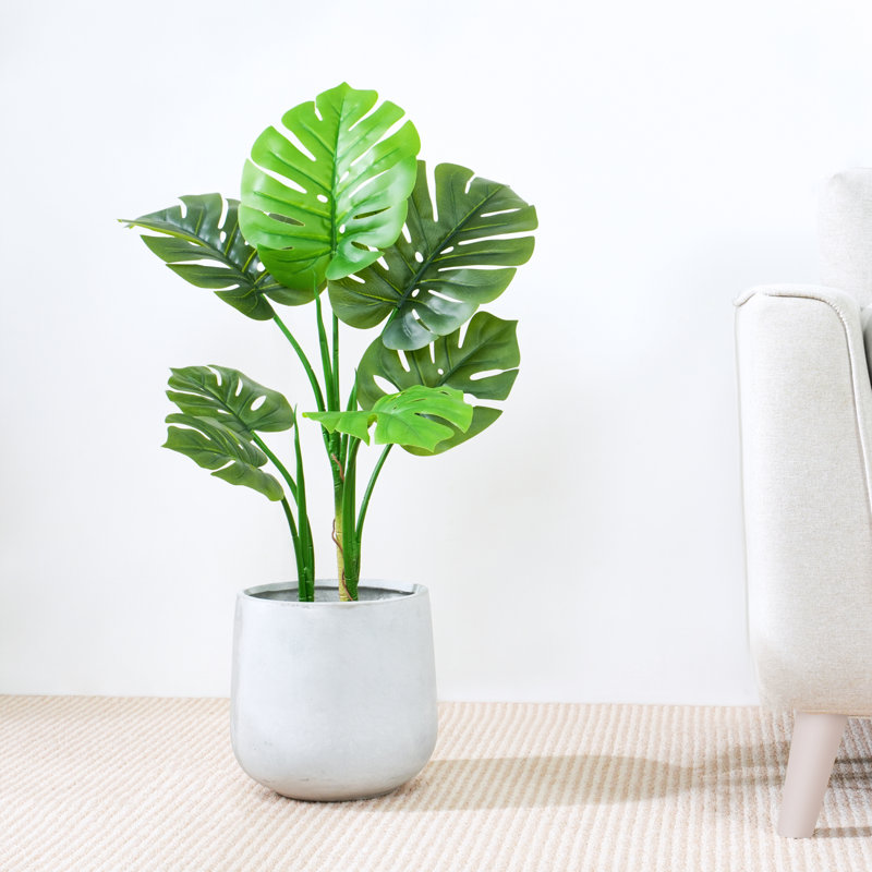 Antavis Faux Monstera Tree in Pot, 80cm H  x 30cm W  x 30cm D
