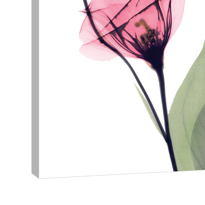 Gentian Faith - Wrapped Canvas Print, 122 cm H x 122 cm W