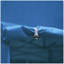 Tente d'auvent 10X15 Pop Up-113578031