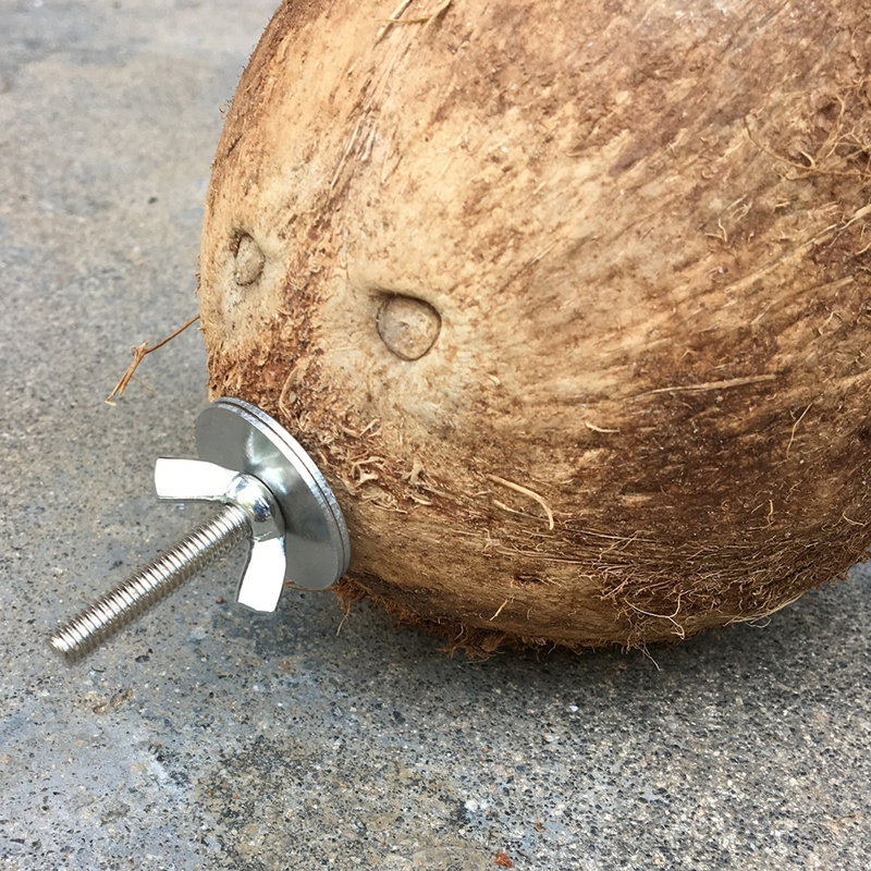 Nichoir en noix de coco, cabane naturelle en noix de coco avec fixation par vis métallique, abri suspendu pour perroquets, hamsters, écureuils et autres petits animaux