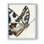 ANIMALS Series CECLI - Impression encadrée de qualité supérieure - Prêt à être accroché - Aucun clou requis-1283901923-1283901935
