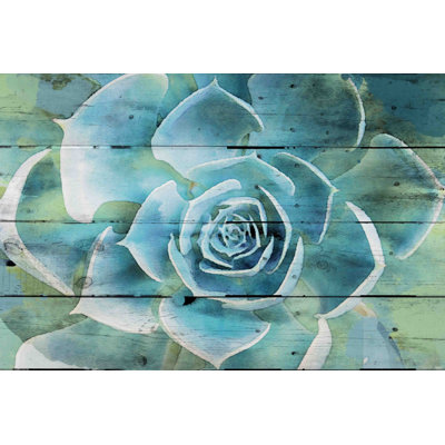 « succulent extravaganza », reproduction d’art sur toile tendue