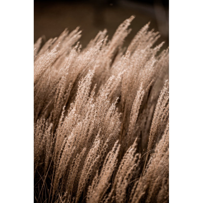 " Grass 16 " by Mareike, 72" H x 48" W