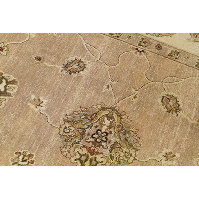 Oriental Area Rug