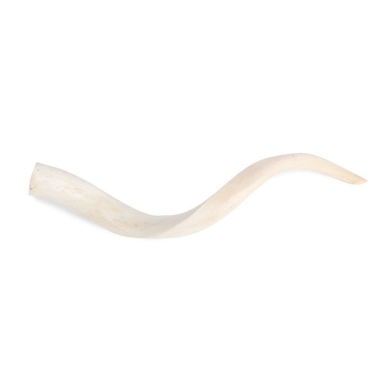 Polished Inner Horn (Loose)