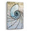 «Shell» par Rita Shimelfarb-101628033
