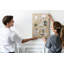 Cork Corkboard / Bulletin Board