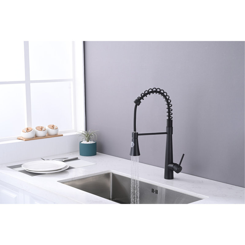 Robinet de cuisine rétractable noir mat avec support magnétique, acier inoxydable de style contemporain et durable