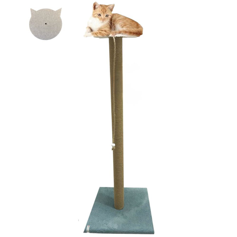 Grattoir pour chat, Turquoise