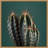 " Cactus IV " by Andre Eichman