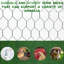 Grand poulailler en métal de 26 pi x 10 pi x 6 pi avec couvercle Facile à nettoyer Surface lisse pour la volaille extérieure 26 x 10 x 6 pi pré-assemblé et installé Safe Haven