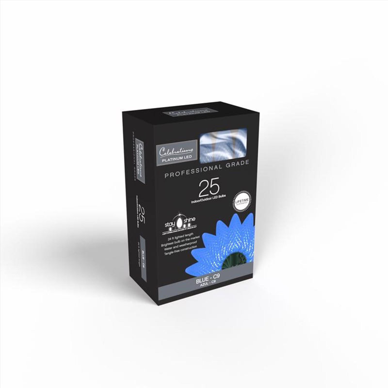  Guirlande de lumières de Noël 25 pi, Bleu