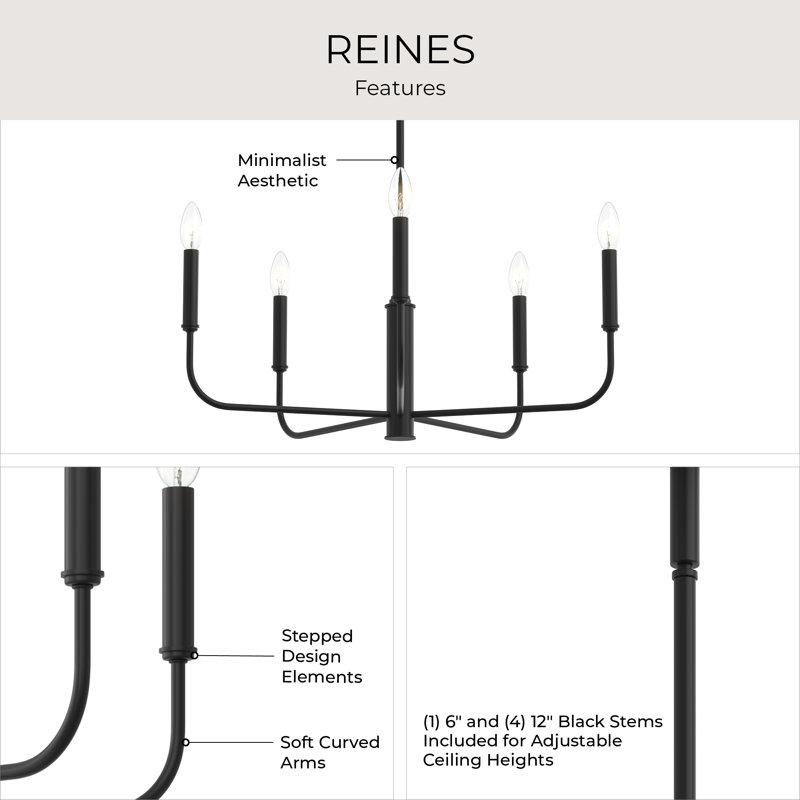 Reines 5-Light Matte Black Medium Chandelier, Matte Black, 5
